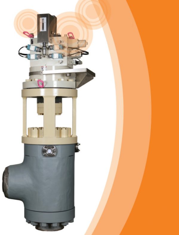 Globe Valve, Gate valve, Ball vavle, check Valve, Instrument valve… - Ảnh 5